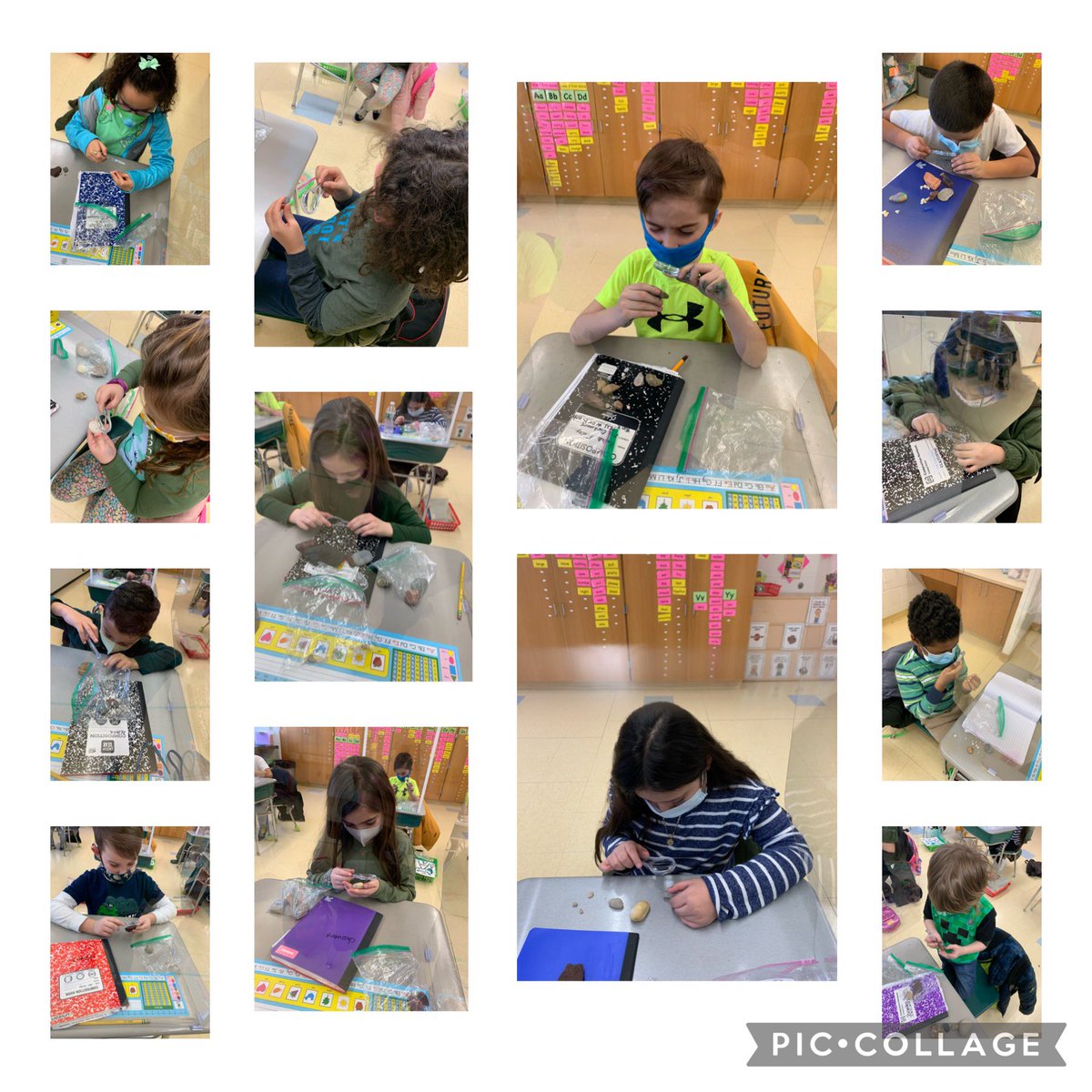 megan bachmore tweet media