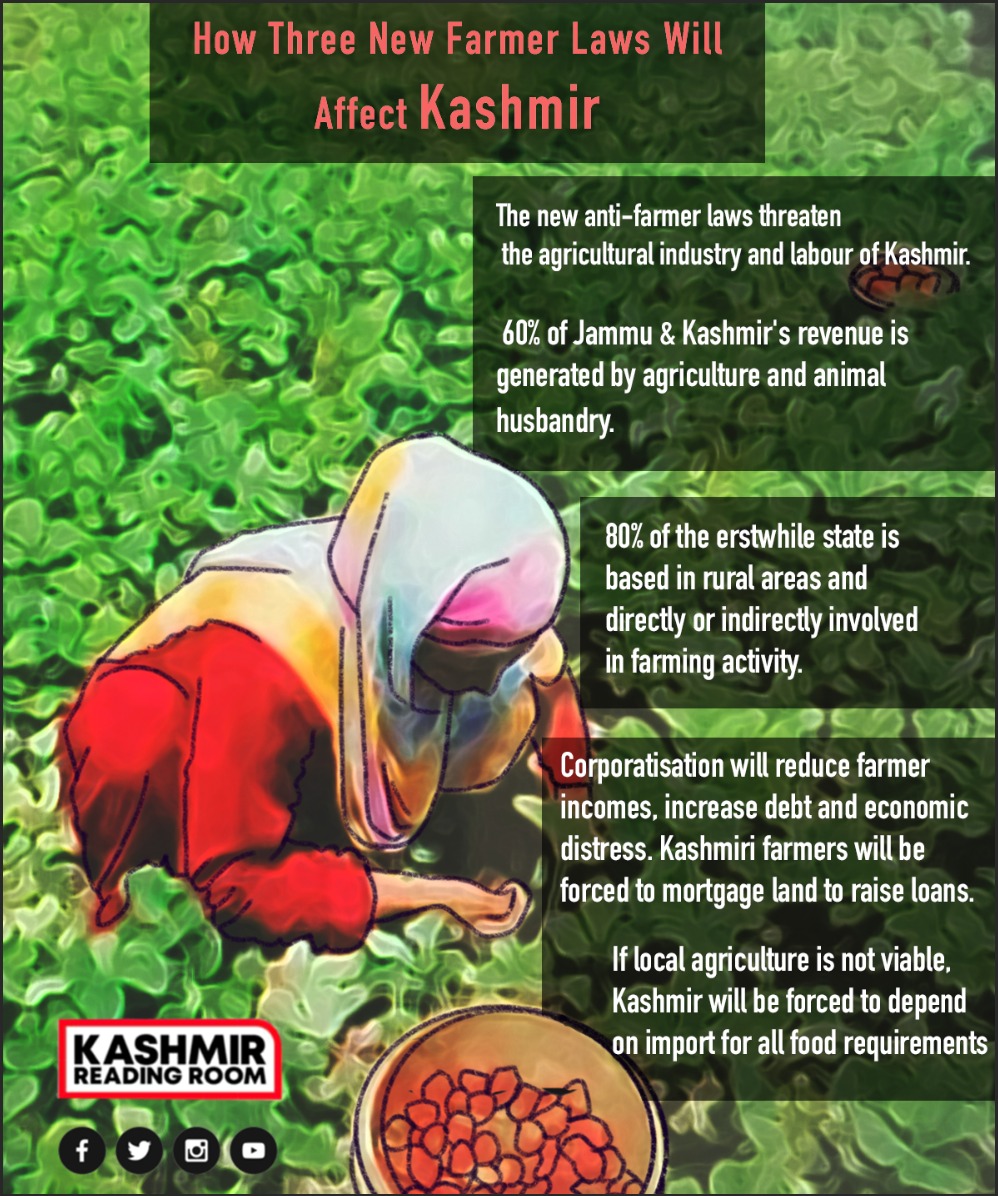 Corporatisation will reduce farmer incomes, increase debt and economic distress. Kashmiri farmers will be forced to mortgage land to raise loans. If local agriculture is not viable, Kashmir will be forced to depend on import for all food requirements.