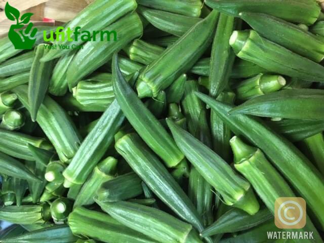 Ufitfarm tweet media