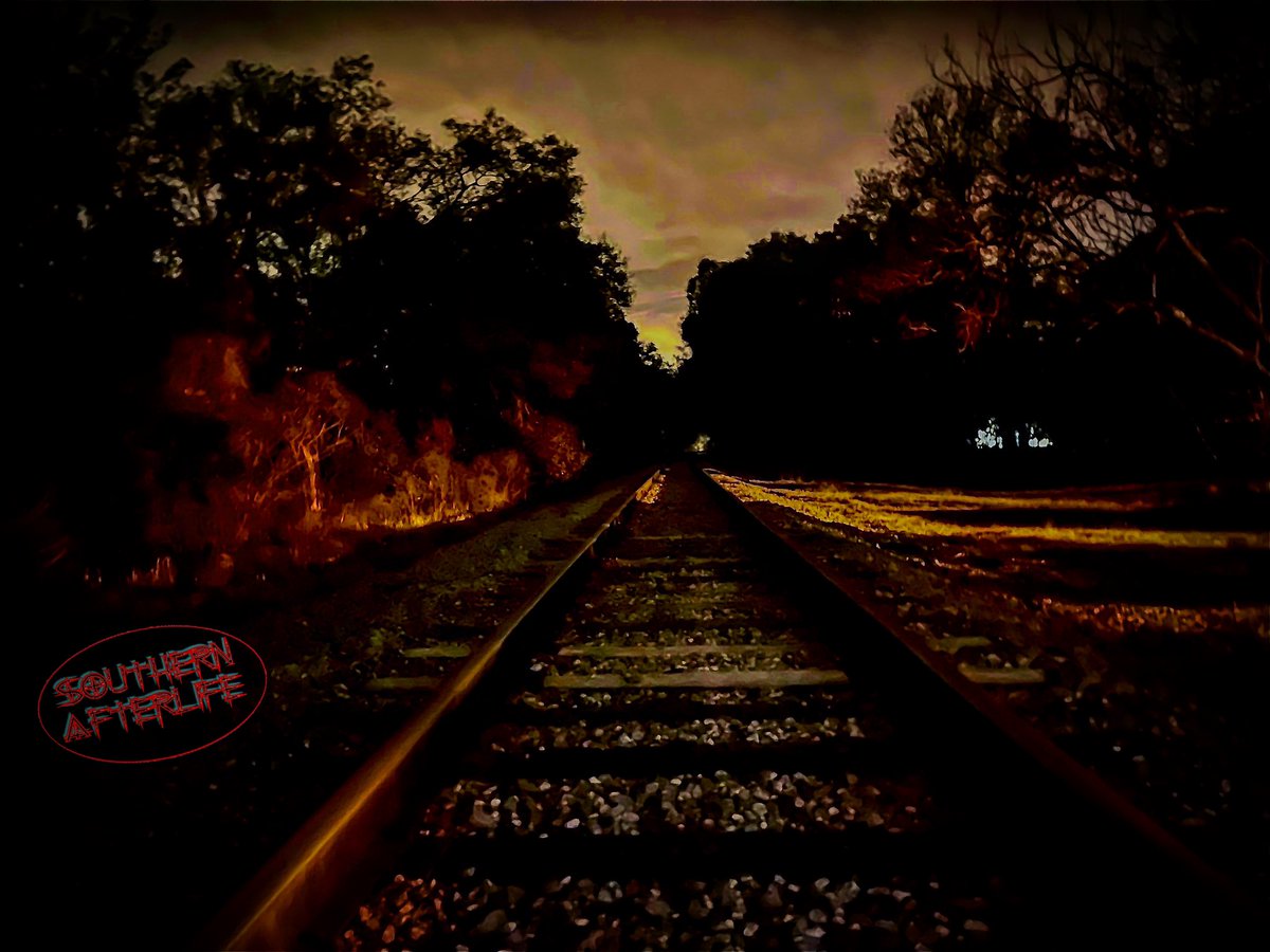 southernaftlife's tweet photo. Late night tracks through swamp lands. #haunted #southernafterlife #SAPTV #abandoned #explore #Floridaman #Tennessee #sb7 #psb7 #spiritbox #EVP #caughtoncamera #caughtonvideo #caughtontape #veil  #explorationUnknown #abandoned #kentucky #tracks #nightshot @CarlosTheFam https://t.co/l3l49QwscM