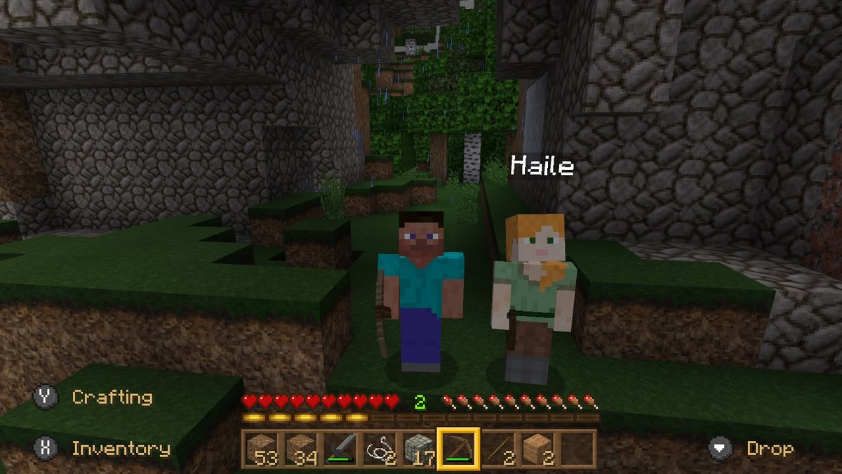 ELChoops's tweet image. #Minecraft #NintendoSwitch