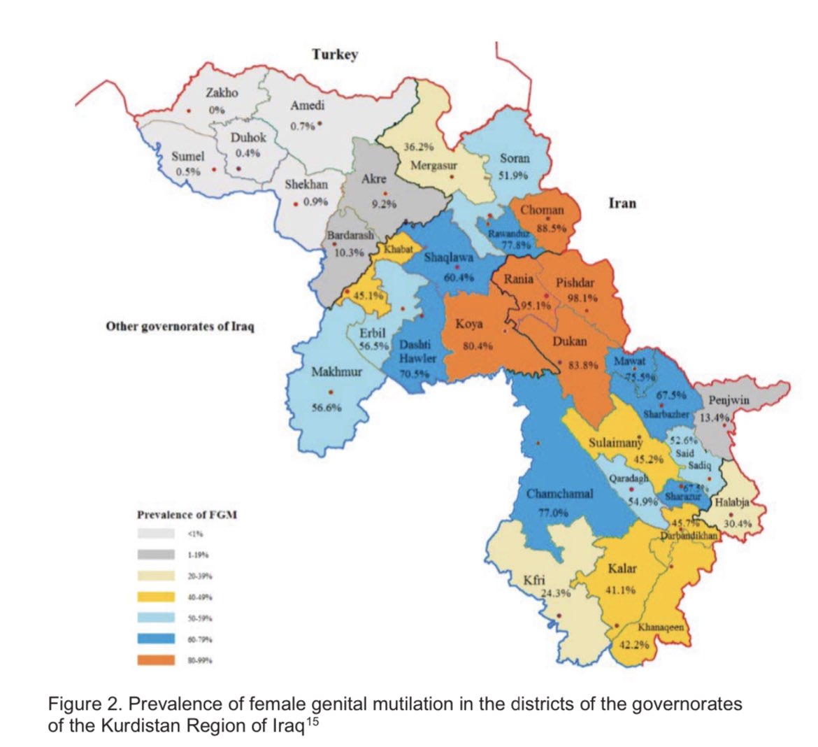 Throughout most of Iraq, FGM is not a common practice. However, in rural towns and villages of the Kurdistan Region, it is highly prevalent due to tradition and religious misconceptions.