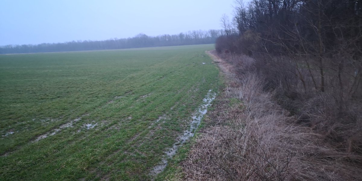 After long time Wild Boar hunt... #Hunting #Hunter #Jagd #Jäger #Jakt #Jagt #Chasse #Caza #Caccia #Vadász #Lovec #Lovac #mauserm18 #pulsarnightvision #ifeelsLOVEnia 🇸🇮