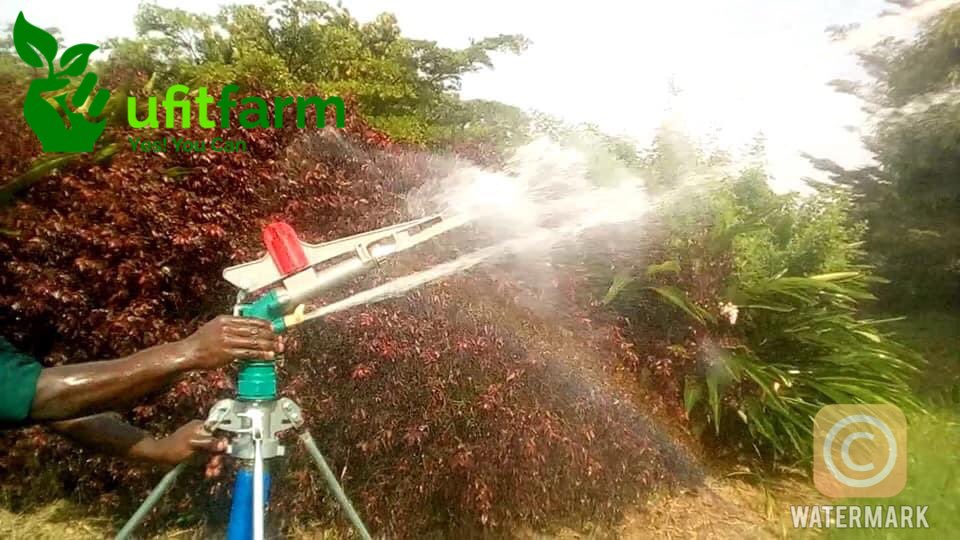 Ufitfarm tweet media