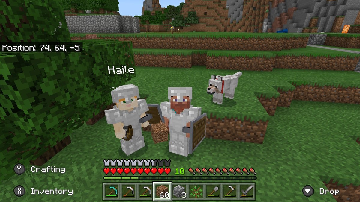 ELChoops's tweet image. #Minecraft #NintendoSwitch