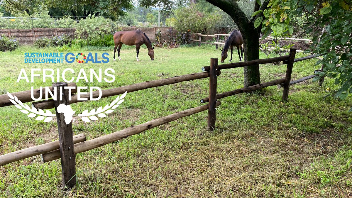 Michelle_Ashen's tweet image. The Collaborative Healing Center emerged #UbuntuLab along with Africans United. @presencing_inst held the space &amp;amp; as a result today our community development work serves its purpose, healing others. 

My time in this heavenly place today revealed Africa in the leaf. #SDGs💡🌍