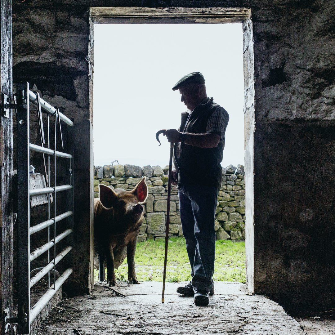 For the farmers and makers. Did you know there are 570 million farms in the world? 90% of them are individual or family-owned. They operate 80% of the worlds agricultural land and feed 70% of the human race on a daily basis. This doesn't include the millions of makers who use the