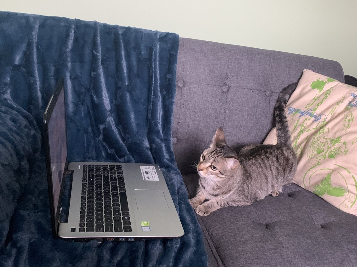 Aaron Odegard MS (He/Him) (@odie0222) on Twitter photo <a href="/FCIDsymposium/">First Coast Infectious Disease Symposium</a> Jane Goodall Kitten is busy learning about <a href="/BioFireDX/">BioFire Diagnostics (now bioMérieux)</a> ME Panel. Very crucial test for patients with meningitis panel. #FCID2021 Scavenger Hunt. <a href="/CVS4Lab/">Carleen</a> @andreaprinzi <a href="/Marstiglez/">RaquelMarieMartinez</a> <a href="/FrancesVShelto1/">Dr Frances Valencia-Shelton, PhD, D(ABMM),SM(ASCP)</a> <a href="/aharrington1884/">Amanda T. Harrington, PhD, D(ABMM)</a> <a href="/KMirza/">Kamran Mirza MD PhD - کامران مرزا</a> <a href="/KGolabMLS/">Kathryn Golab, DCLS, MLS(ASCP)CM, SH-CM</a> <a href="/cullen_lilley/">Cullen Lilley, MD, MS, MA, MB(ASCP)</a> <a href="/MelissaUpton7/">Melissa P. Upton, M.D. (she/her/hers)</a> <a href="/FCIDsymposium/">First Coast Infectious Disease Symposium</a> Jane Goodall Kitten is busy learning about <a href="/BioFireDX/">BioFire Diagnostics (now bioMérieux)</a> ME Panel. Very crucial test for patients with meningitis panel. #FCID2021 Scavenger Hunt. <a href="/CVS4Lab/">Carleen</a> @andreaprinzi <a href="/Marstiglez/">RaquelMarieMartinez</a> <a href="/FrancesVShelto1/">Dr Frances Valencia-Shelton, PhD, D(ABMM),SM(ASCP)</a> <a href="/aharrington1884/">Amanda T. Harrington, PhD, D(ABMM)</a> <a href="/KMirza/">Kamran Mirza MD PhD - کامران مرزا</a> <a href="/KGolabMLS/">Kathryn Golab, DCLS, MLS(ASCP)CM, SH-CM</a> <a href="/cullen_lilley/">Cullen Lilley, MD, MS, MA, MB(ASCP)</a> <a href="/MelissaUpton7/">Melissa P. Upton, M.D. (she/her/hers)</a>