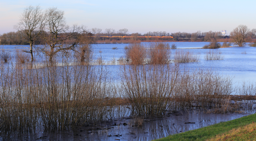 De dijk tussen #Ophemert en #Vuren wordt per direct afgesloten voor alle verkeer. Met uitzondering van bestemmingsverkeer. Door grote drukte op de dijk kunnen reeën en andere dieren niet ontsnappen aan het hoge water. #rivierengebied #WestBetuwe #hoogwater delen=lief
