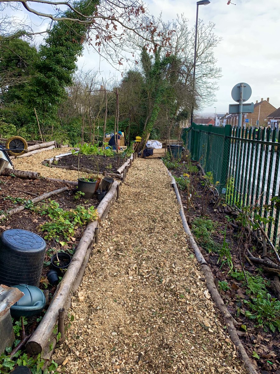 Lovely to be back at Buckthorne Reserve #SE4 #Lewisham today - rolling out a golden wood chip carpet ready for your return &amp; pleaching a tree to start a living hedge project. If you’d like to support us please donate 🌿🍃🙏
localgiving.org/charity/fourth…
