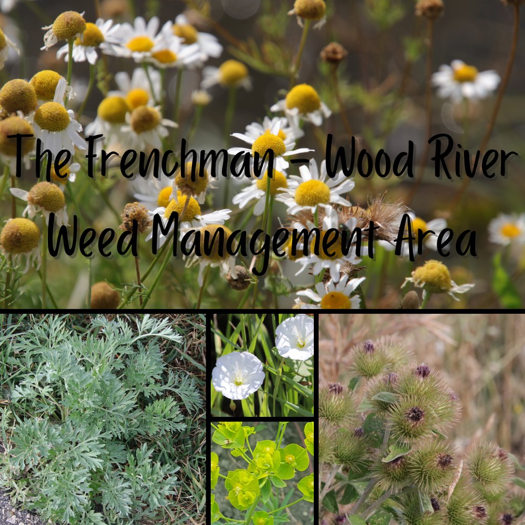 FWRWMA's tweet photo. Early Detection – Rapid Response is the #FWRWMA approach to invasive species – to find, identify, eradicate, contain or control new invasives. Early detection of an invasive species, followed by a rapid response increases the chance of eradication or containment of a new species. https://t.co/HIQyrdGDw5