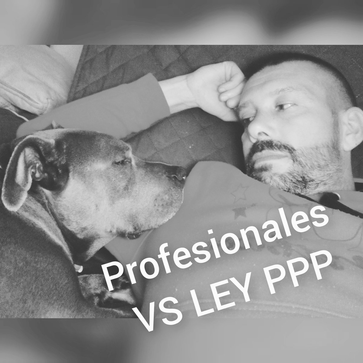 Profesionales VS LEY PPP tweet media