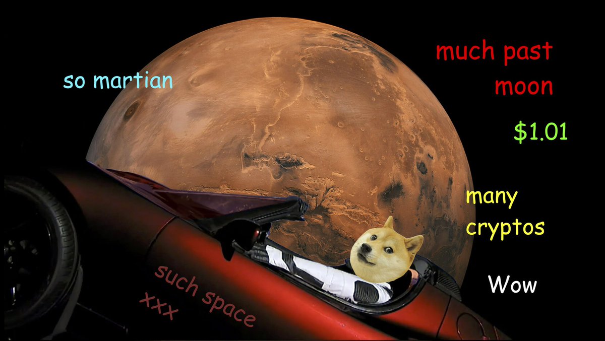 ConwayL's tweet photo. @elonmusk The Moon is for Puppies. Send #dogetomars $1.01. https://t.co/kusk169e5R
