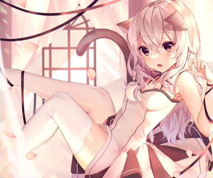 white mocha cat 