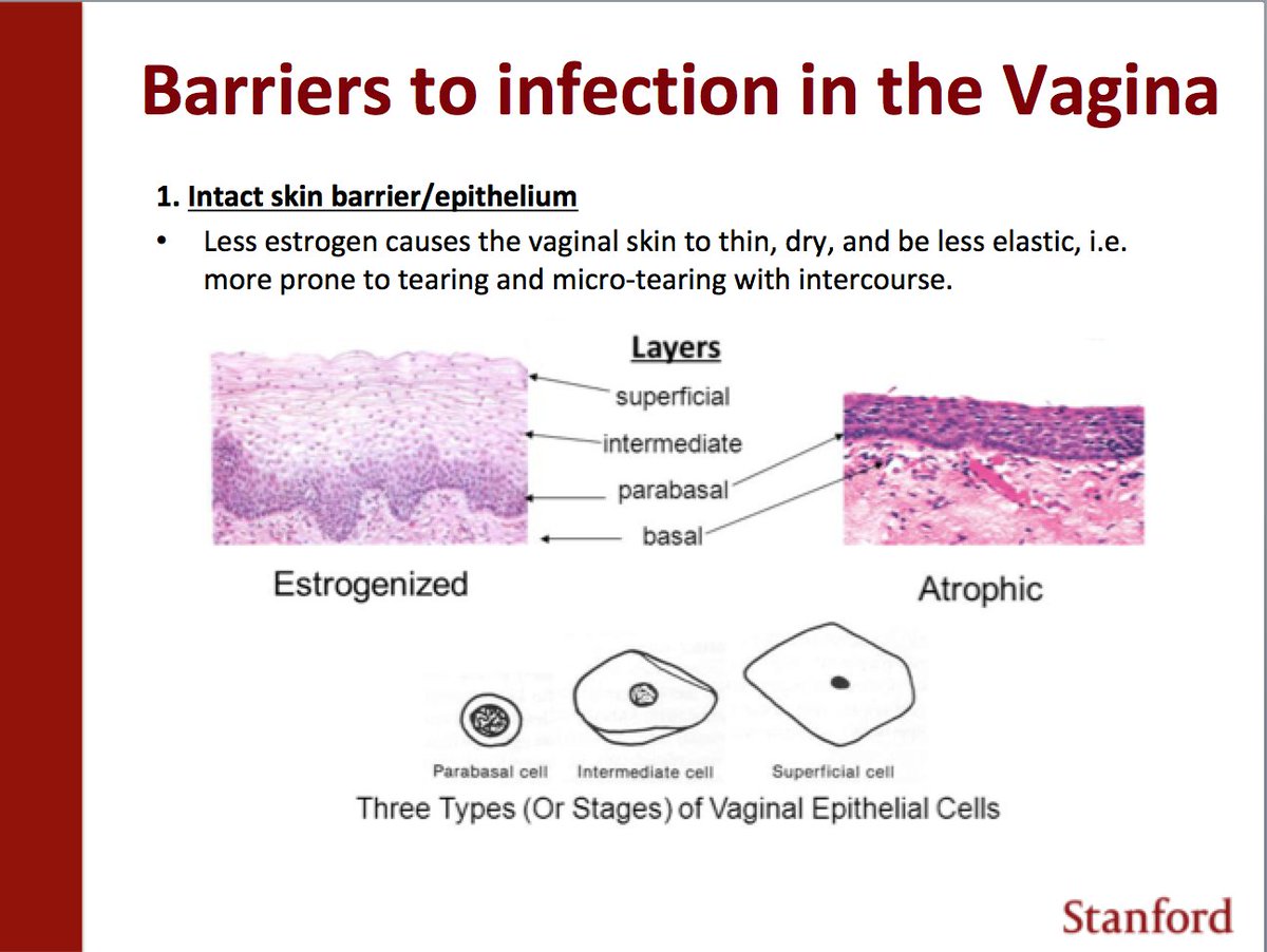 4/ But what are you talking about and why do we care? The 2 primary barriers to infection in the human vagina are:1. An intact skin barrier AND2. AcidityLubricants and other products can compromise these first lines of infection prevention!!! @DrJenGunter  @MamaDoctorJones