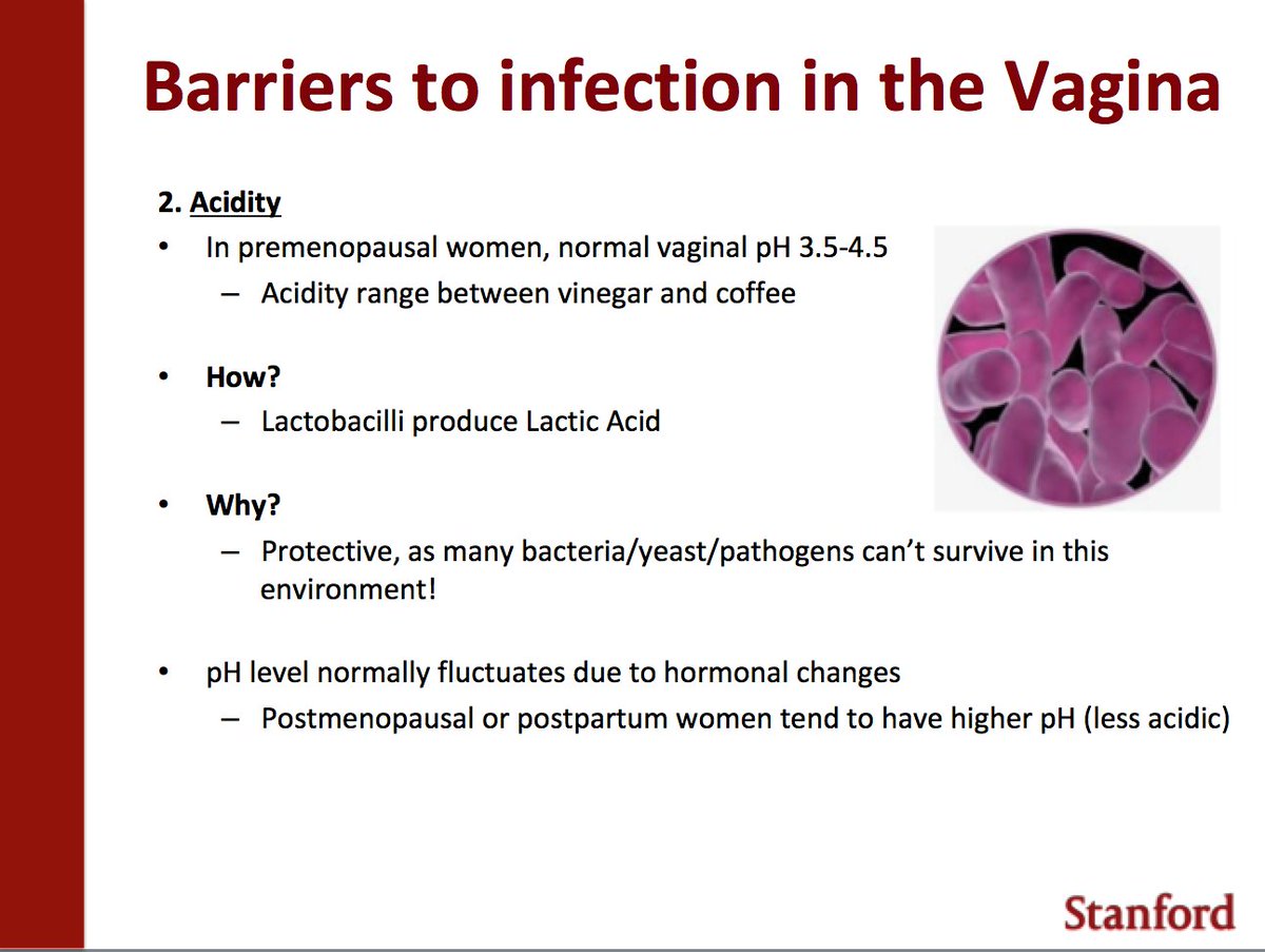 4/ But what are you talking about and why do we care? The 2 primary barriers to infection in the human vagina are:1. An intact skin barrier AND2. AcidityLubricants and other products can compromise these first lines of infection prevention!!! @DrJenGunter  @MamaDoctorJones