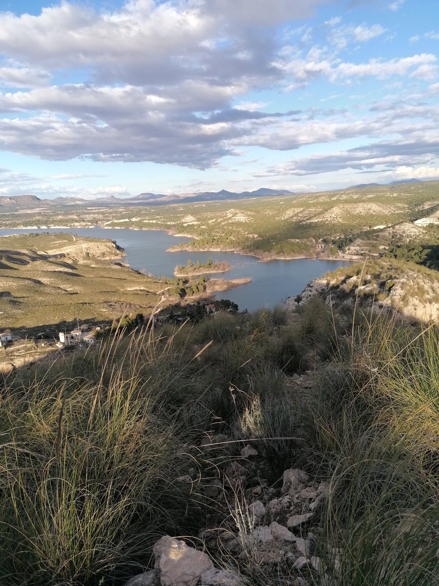 Beyka_bea's tweet photo. @tiempobrasero pantano camarillas (Hellin) https://t.co/AGKhZaVZju