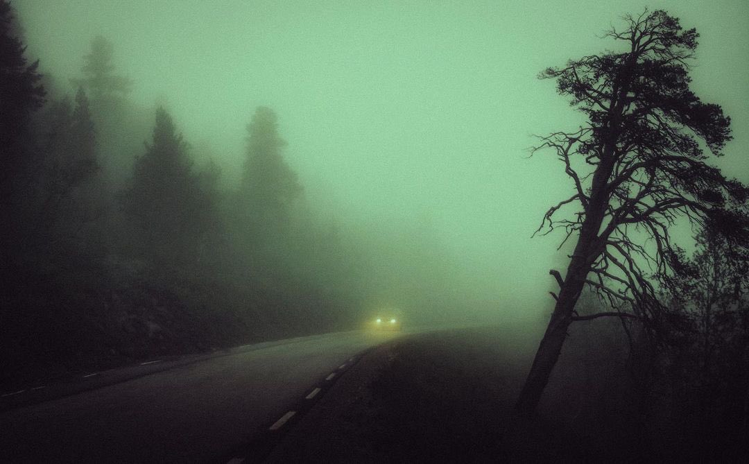 LX (@lex_dvp) on Twitter photo 