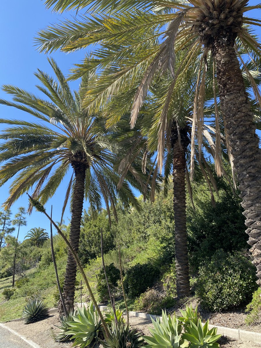 HMLLPGlobal's tweet photo. My jog today. https://t.co/Fgj3Fn68jt