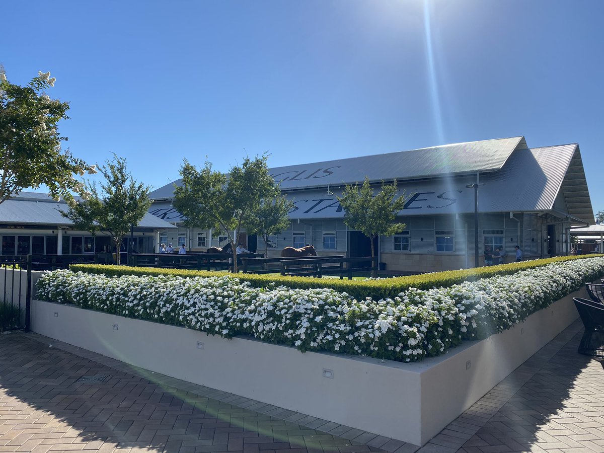 JVizzone's tweet photo. Opening day of the classic @inglis_sales and the beautiful gardens look as good as the horses. A massive credit to the team behind Inglis gardens for getting them looking stunning for the sales ✌️👍 https://t.co/MqOd27y3aZ