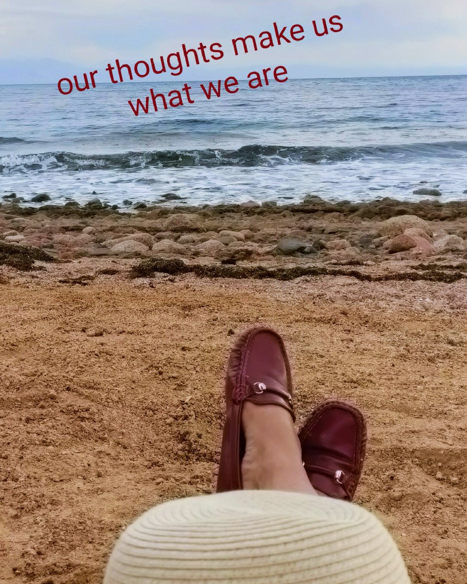 amaal shawky (@amaalraslan) on Twitter photo 