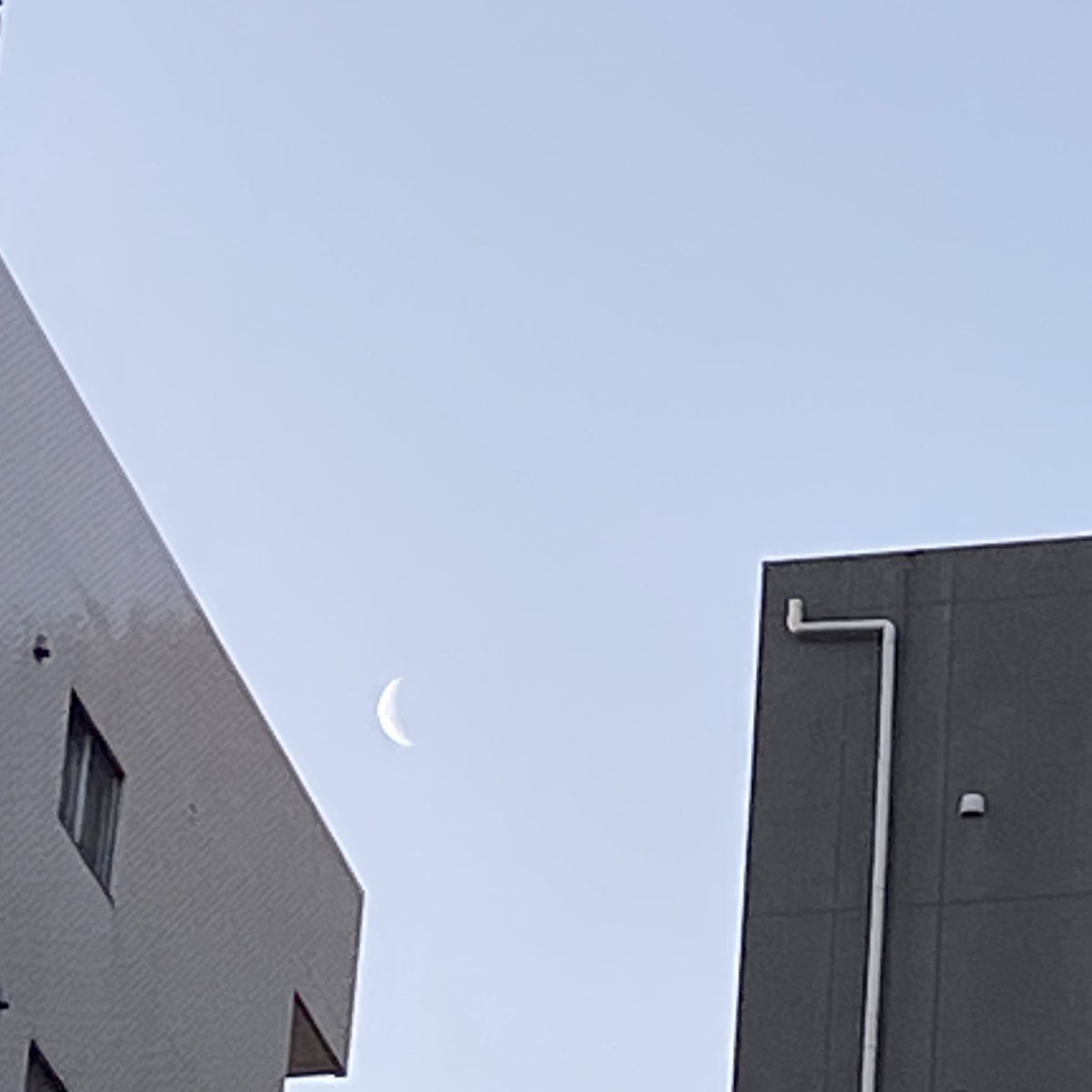 久々に早起きしてみました🎵
朝のお月様🌙発見👀
#朝の風景
#三日月
#キリトリ世界