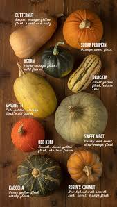To a kiwi or an aussie, these are all pumpkins.