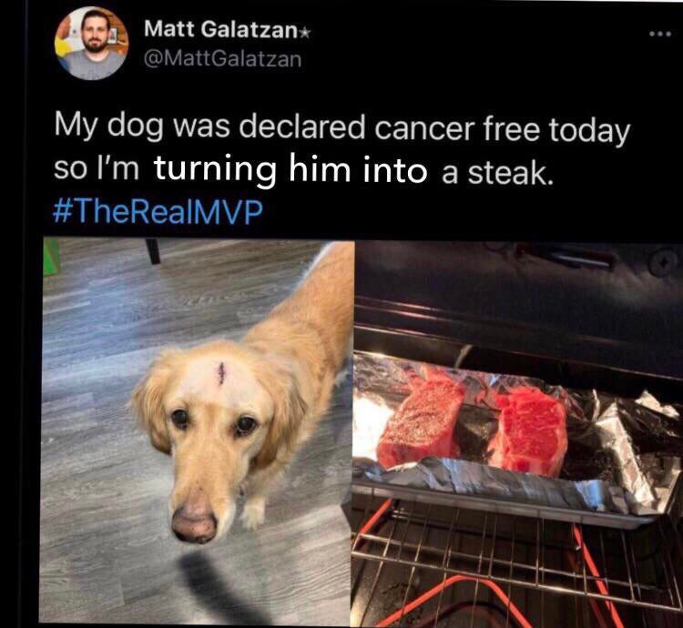 CharelsIs's tweet photo. @peta https://t.co/k35abcth2S