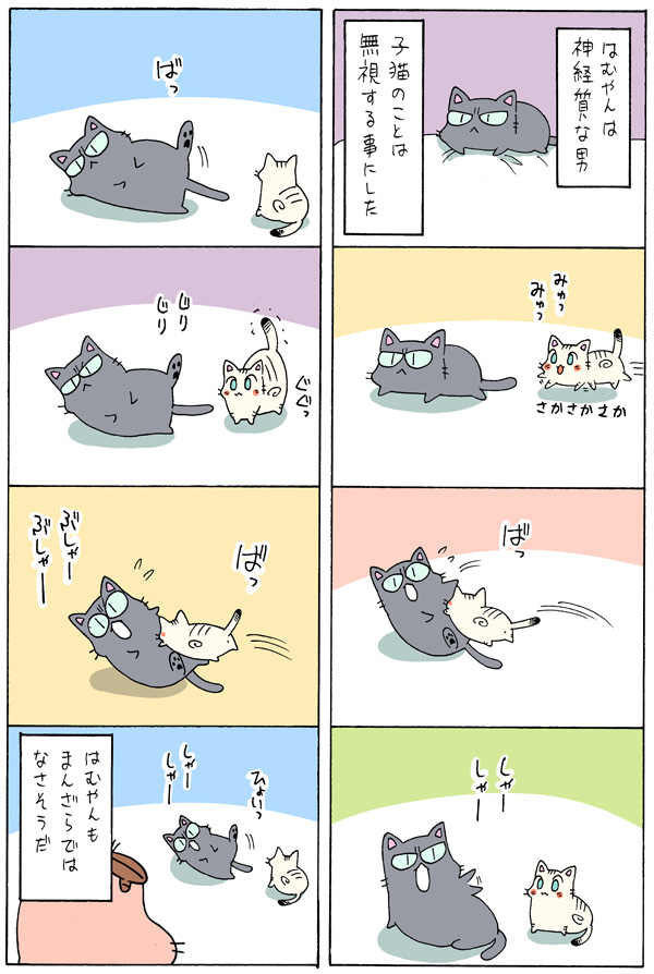 老猫と子猫が一緒に暮らしたら⑨

まとめ読みはこちら
https://t.co/9QV4FAp4Kv 