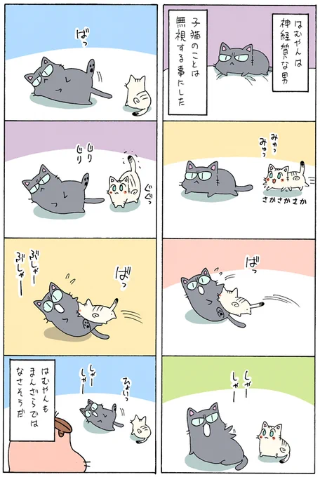 老猫と子猫が一緒に暮らしたら⑨

まとめ読みはこちら
https://t.co/9QV4FAp4Kv 