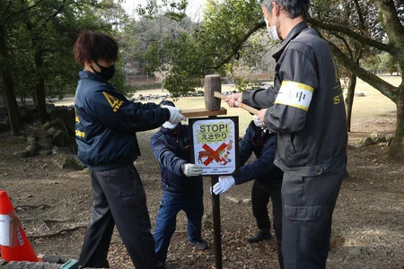 デマにより奈良のシカに餌を与える人が増えて、県が対策をすることに・・・