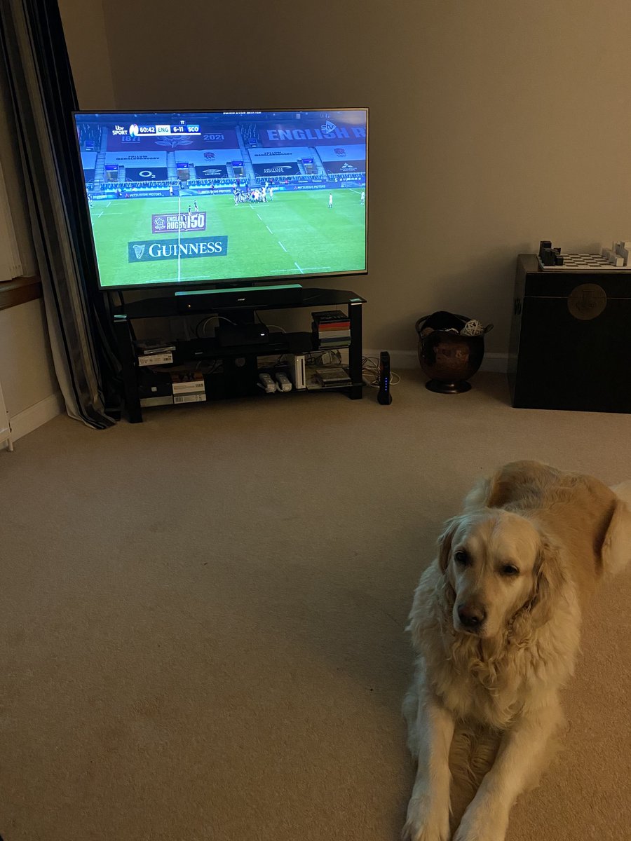 campbellcbrown's tweet photo. Scotland 5 point lead. 20 mins to go to possible famous victory. Leo finding it hard to watch... https://t.co/0DBXU0JZzu