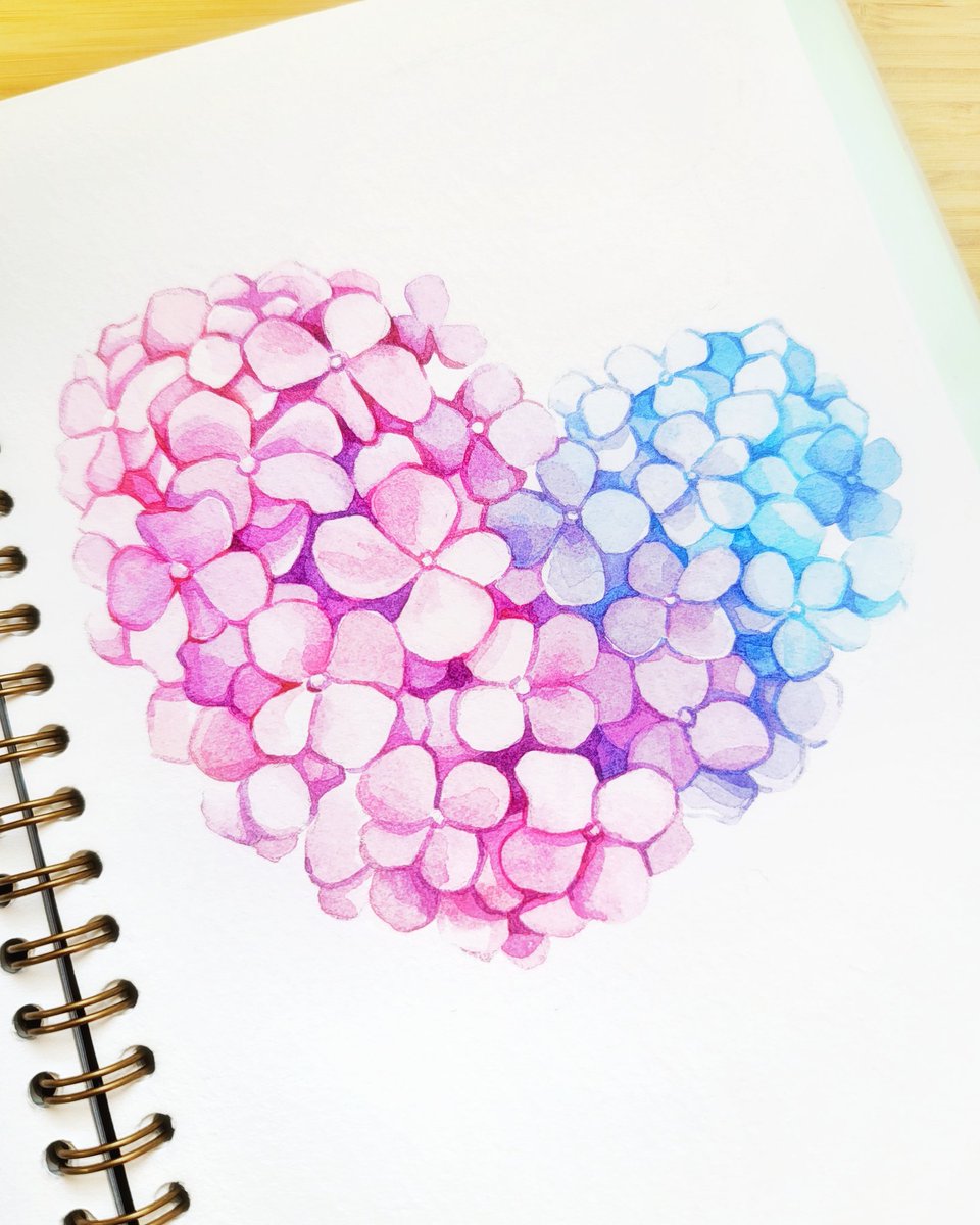 hydrangeas are bi (and so am i) 🥰🌸