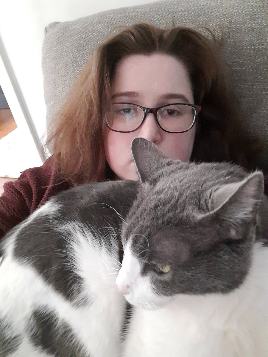 jasperthecat0's tweet photo. I sit where I like! https://t.co/7Ob9jKQS9m