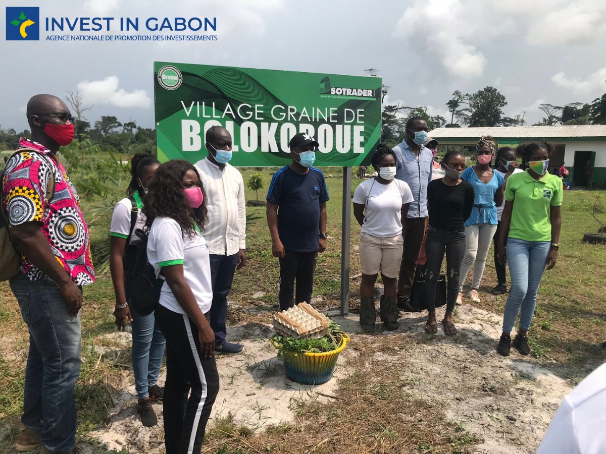 Invest In Gabon tweet media
