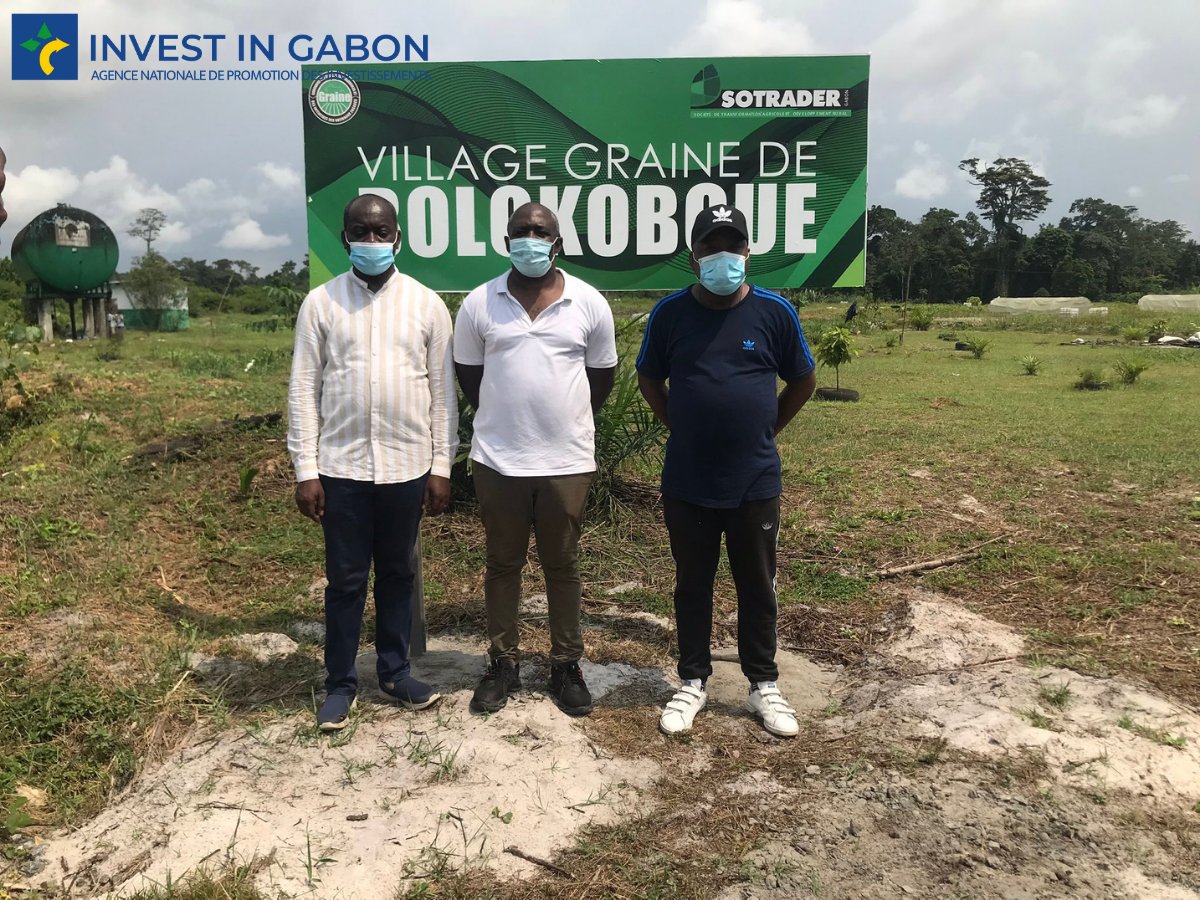 Invest In Gabon tweet media