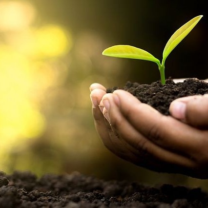 L'agriculture plus qu'un métier, une passion
Si vous aussi votre métier vous rend fier partagez ce #: 
#fier2travaillerenagricultur
.
#agricole #france #agriculture #anefa #recrutement