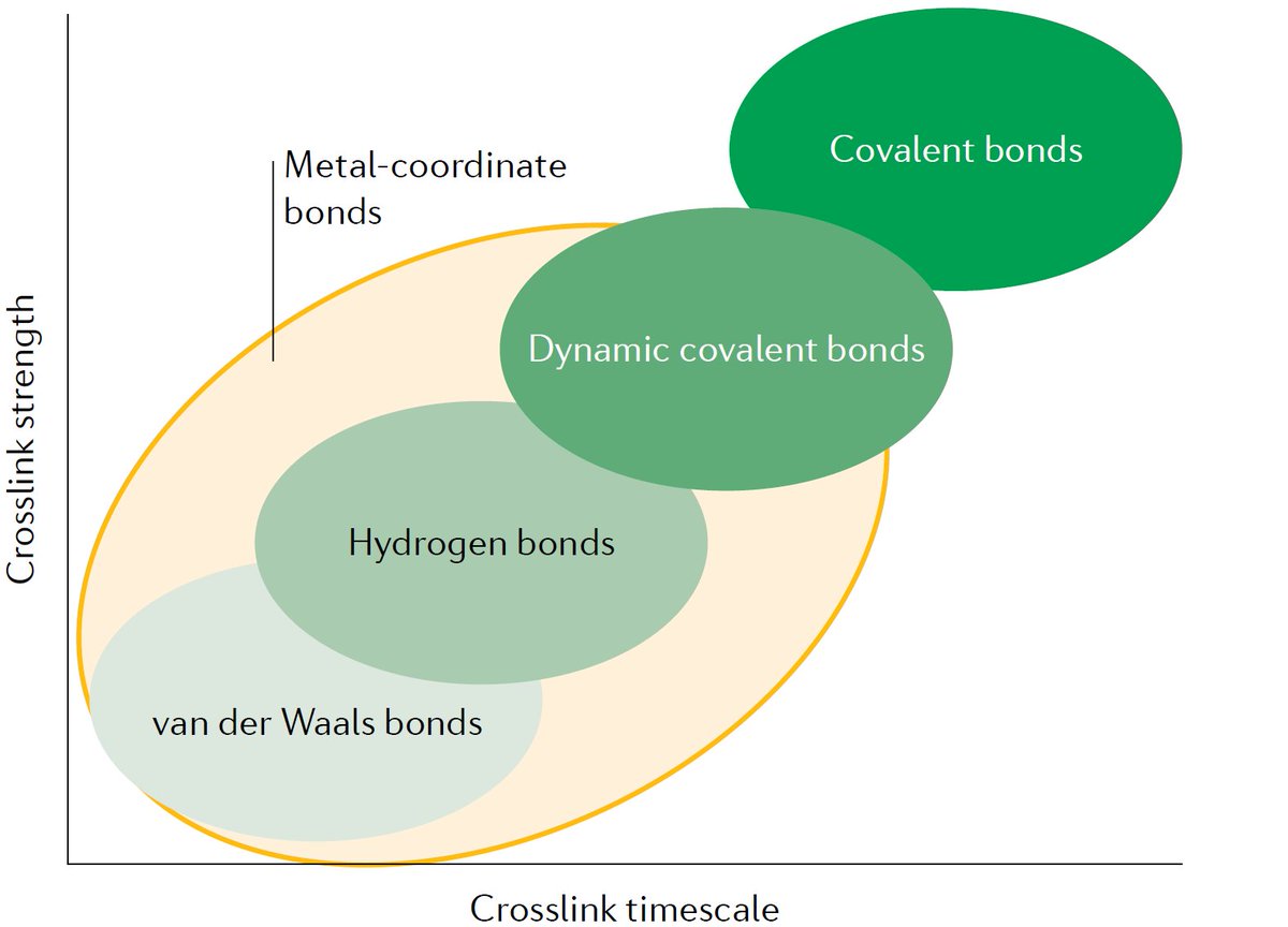 ProfBuehlerMIT's tweet photo. Our latest paper in @NatRevMater reviews the state of the art and opportunities in metal-coordinate bonds as a highly tunable mechanical system, learning from nature and building on it - read the paper here: https://t.co/yD6sVbRwfV with @eesha_khare and Niels Holten-Andersen https://t.co/mcxBz9jfhA
