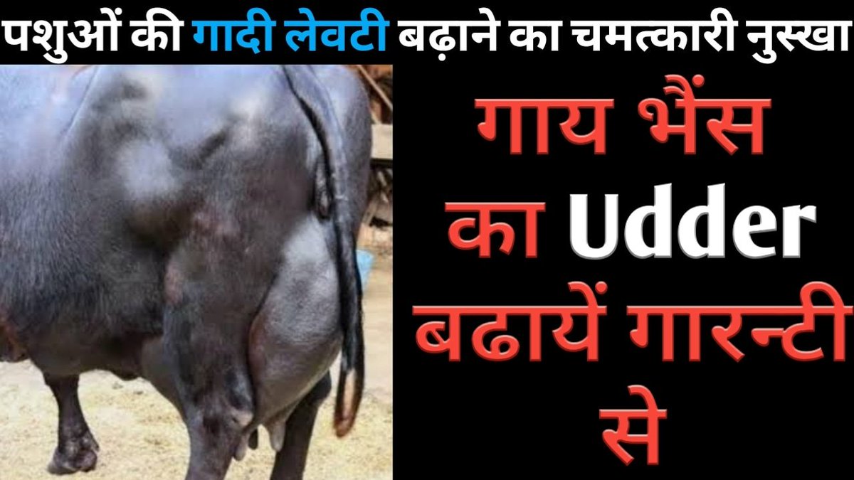 DairyFarming1's tweet photo. @YouTubeCreators https://t.co/sM1LkhDFS9