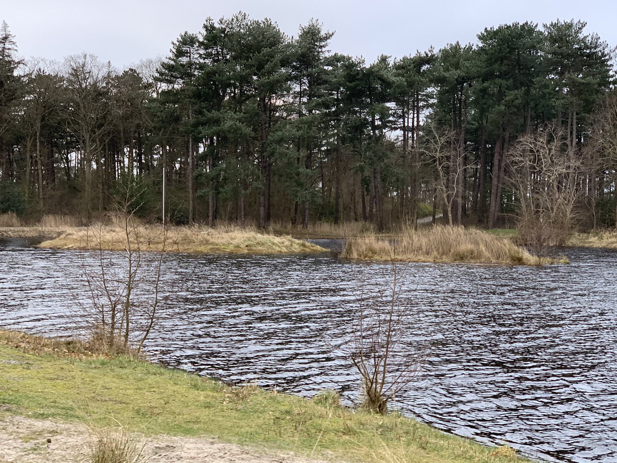 We hebben vanmiddag de laatste puntjes op de i gezet.✅✅   Wij zijn er klaar voor, nu maar rustig afwachten wat de vorst doet.  Als er komende dagen geen stokken en dennenappels  op het ijs worden gegooid hebben we straks een mooie baan! #Terschelling #schaatsen