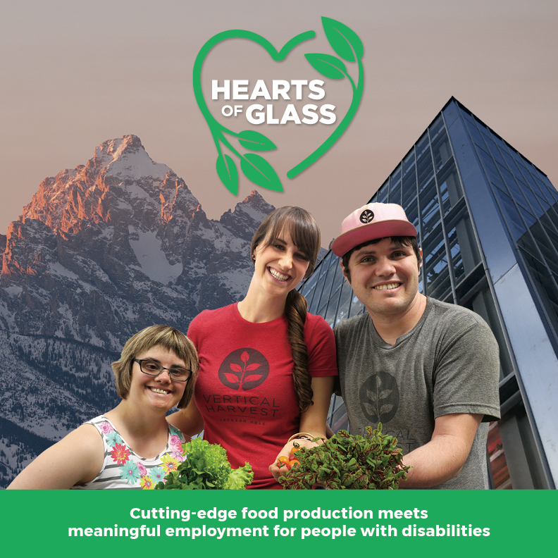 MBAFoodCon's tweet photo. Link below to view the documentary Hearts of Glass! Join us this Thurs, Feb. 11th (7-8 pm) for an awesome panel discussion with Director @JenTen_JH , Hannah Bouline of Vertical Harvest Farms &amp; T Land of Part and Parcel Durham! @HeartsGlassFilm #mbafoodcon 
https://t.co/7gCYfbm9YN https://t.co/hZO1iLD96p