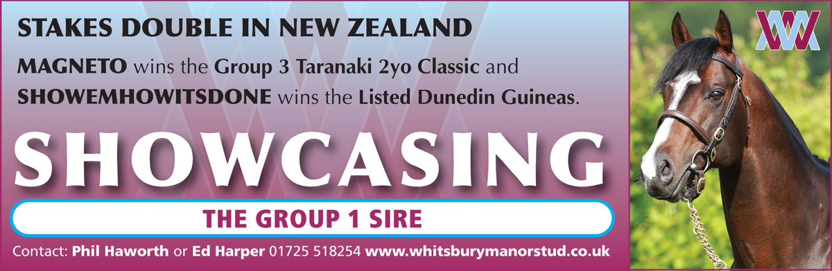 Whitsbury Manor Stud (@whitsburymanor) on Twitter photo 