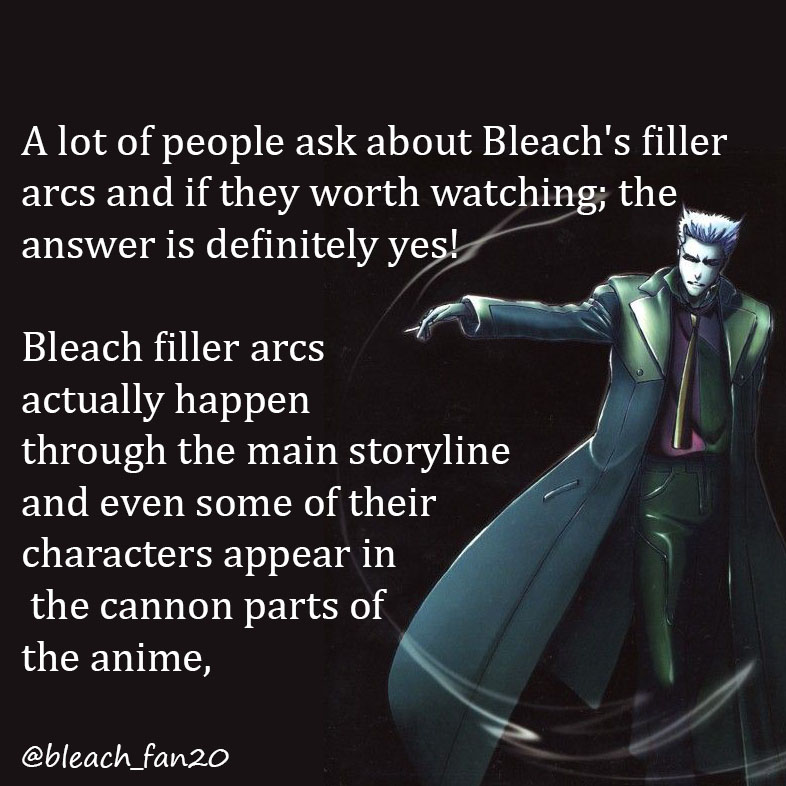 I just started watching bleach and i want to know which of these fillers i  should watch? : r/bleach