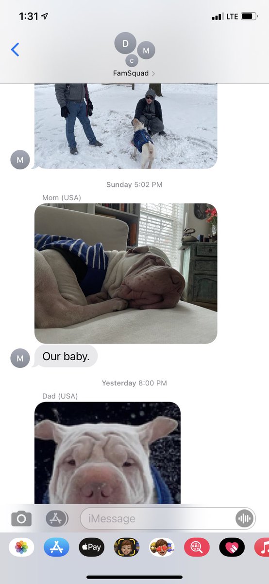 SlidVMusic's tweet photo. @jarshots My parents send pics of our dog in there nothing else 🤣 @Stevalech https://t.co/1xAdQYyMgU