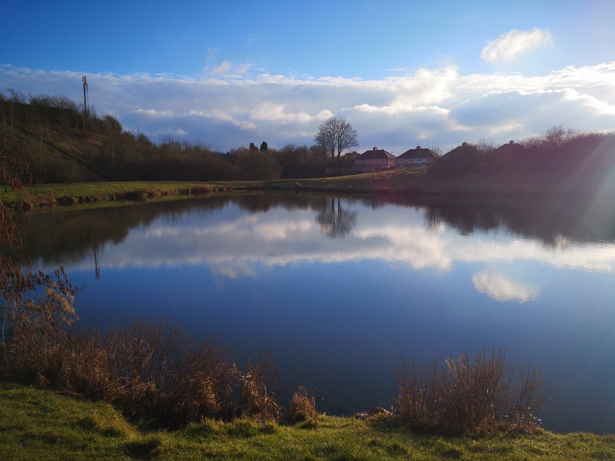 Vik3928's tweet photo. @DudleyNature. Lovely walk round #Fenspool today. https://t.co/ulMHD5os1C