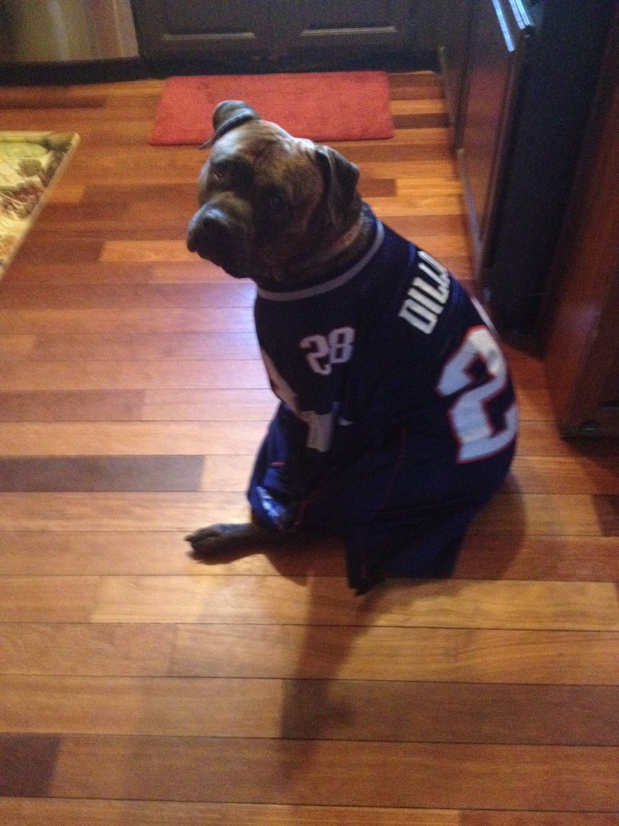abbyyjayyy's tweet photo. #PatriotsPETriots #Bear https://t.co/ceRtMHgZRG