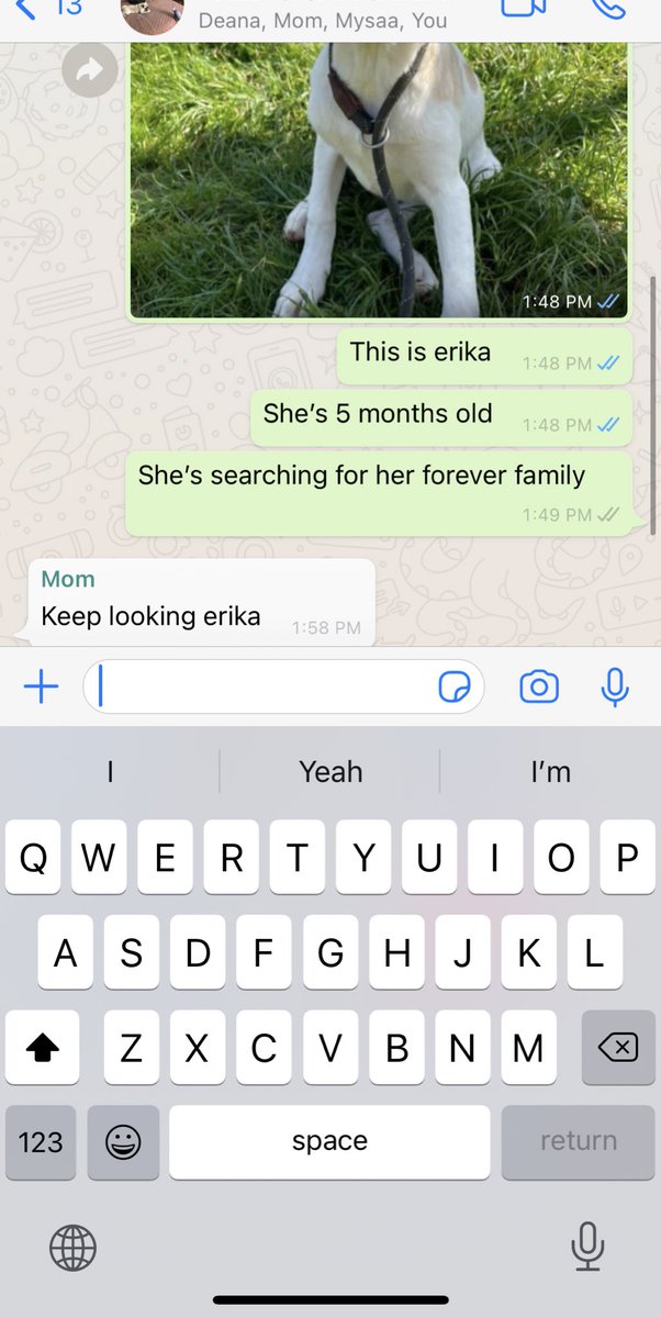 mariamdimachk's tweet photo. I don’t think she wants a 4th dog🥺 https://t.co/CgycMp6dCE