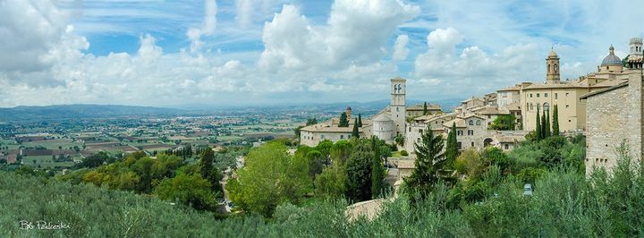 Bob Perkoski tweet media