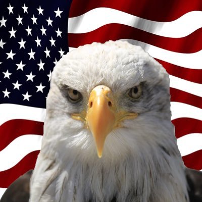 georgesbitar69's tweet photo. https://t.co/Zk5HiVA5Xi