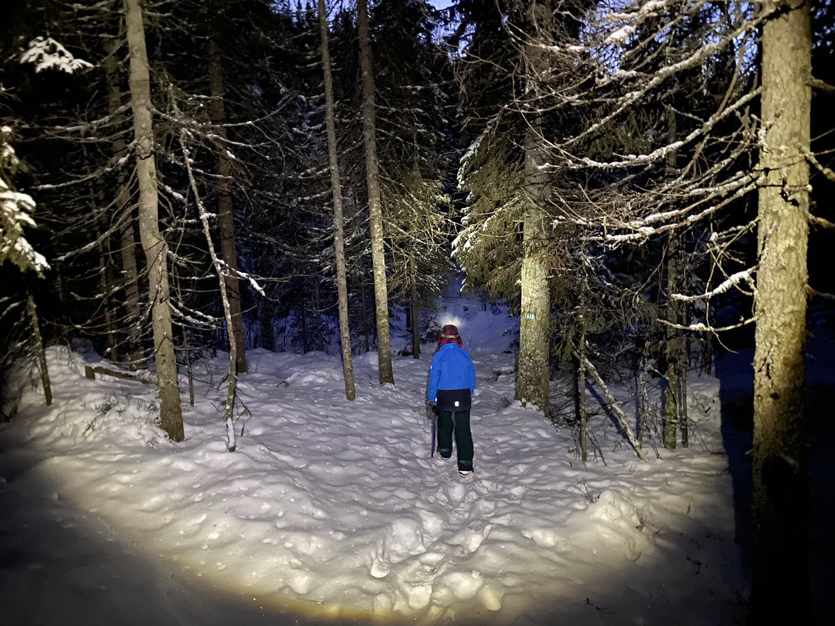 ulfrasmussen's tweet photo. 15k hike in rough, snowy terrain to see this with my youngest monkey. life’s too short to spend on a couch 🐺🐺 https://t.co/UAhqQGbzI9